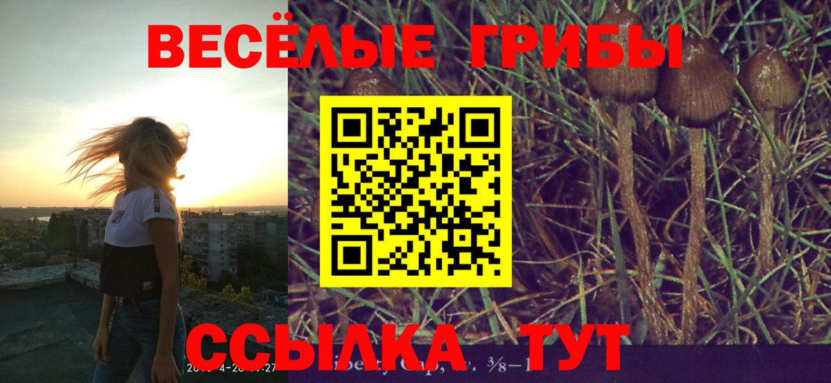 Галлюциногенные грибы Psilocybe  Вход с VPN  Кувандык 