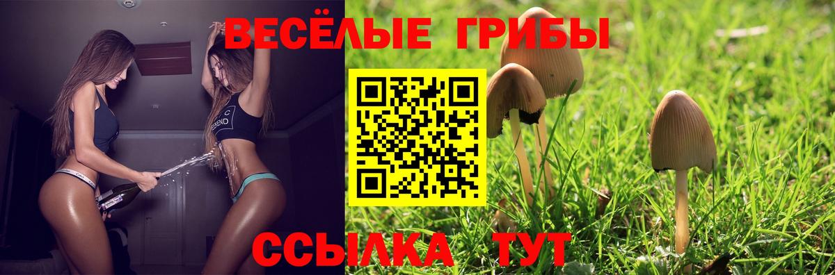 Галлюциногенные грибы Magic Shrooms Кувандык